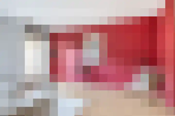 Zadelmakerhof 5 Schiedam thumbnail 8