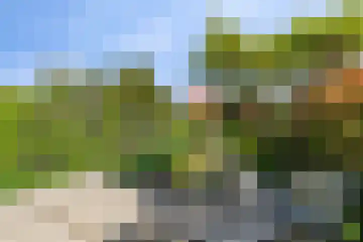 Zadelmakerij 18 Barendrecht thumbnail 26