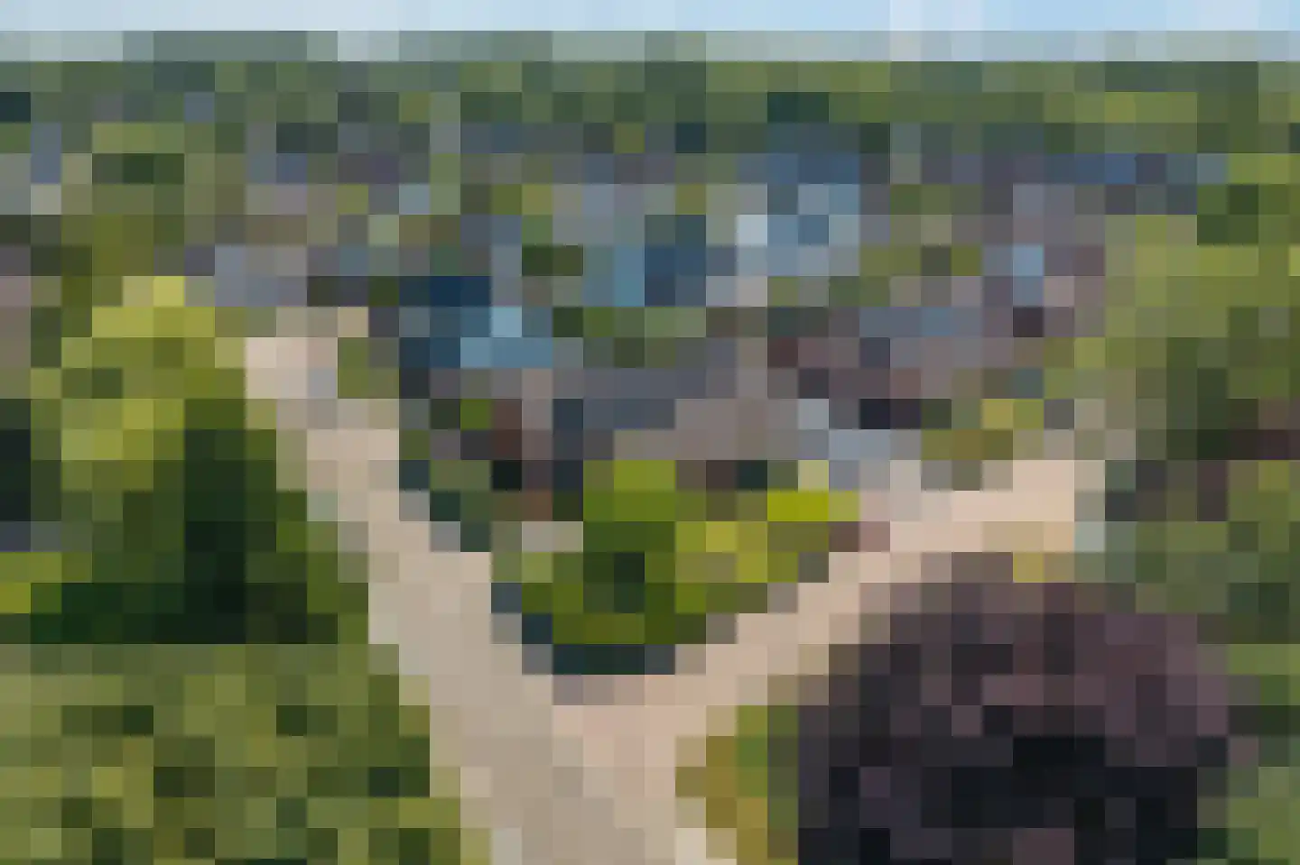 Zadelmakerij 2 Delfzijl thumbnail 11