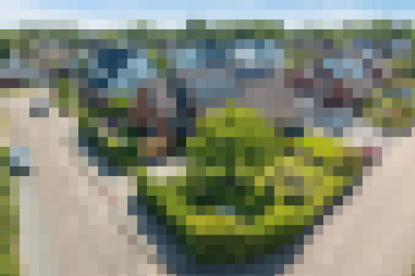 Zadelmakerij 2 Delfzijl thumbnail 12