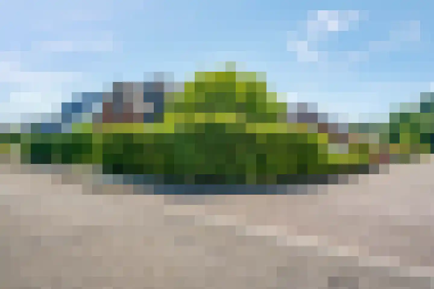 Zadelmakerij 2 Delfzijl thumbnail 17