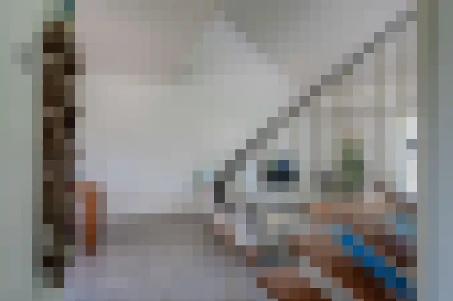 Zadelmakerij 2 Delfzijl thumbnail 22