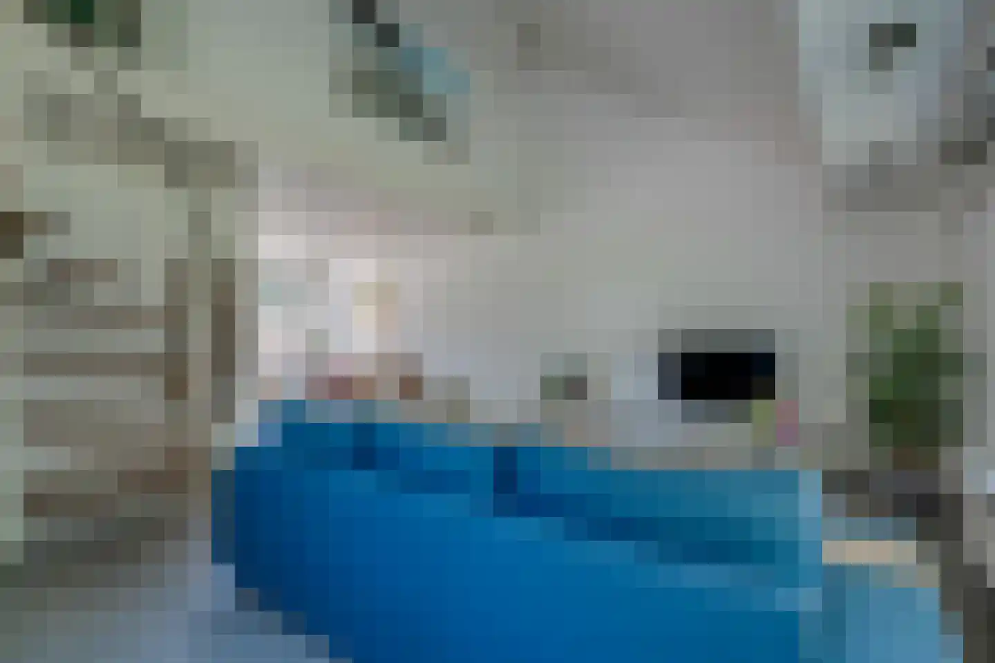 Zadelmakerij 2 Delfzijl thumbnail 25