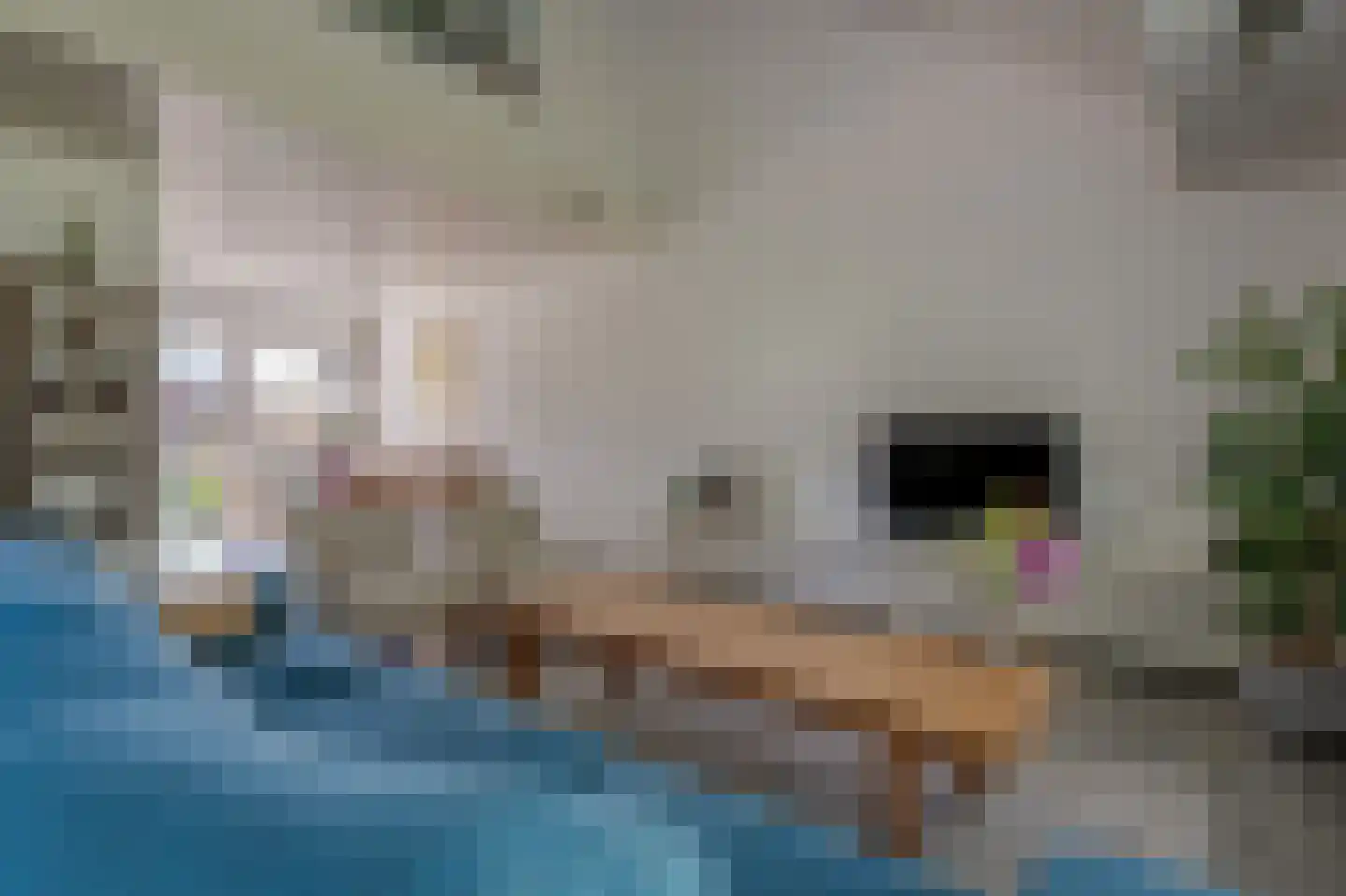 Zadelmakerij 2 Delfzijl thumbnail 26