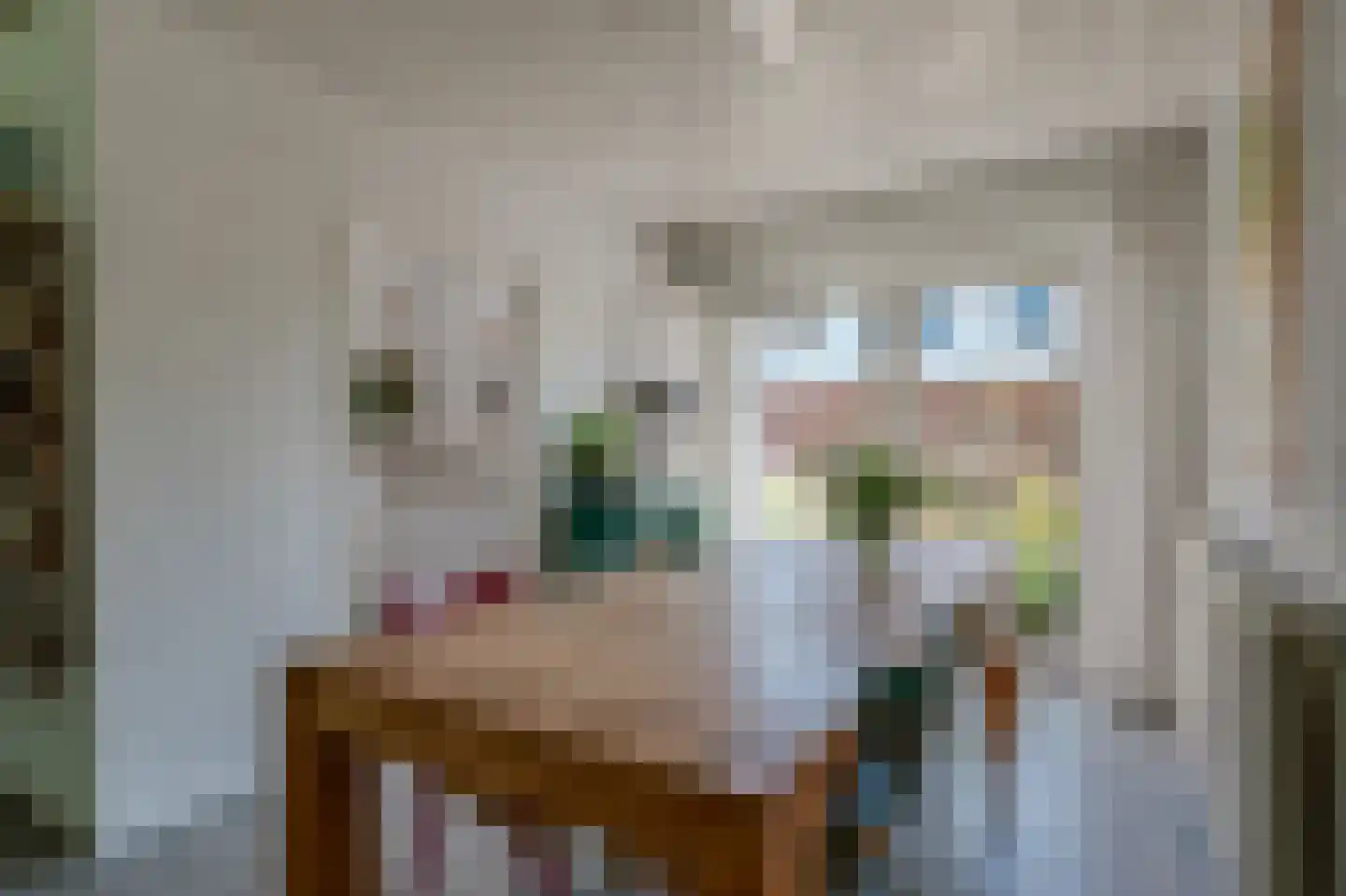Zadelmakerij 2 Delfzijl thumbnail 27