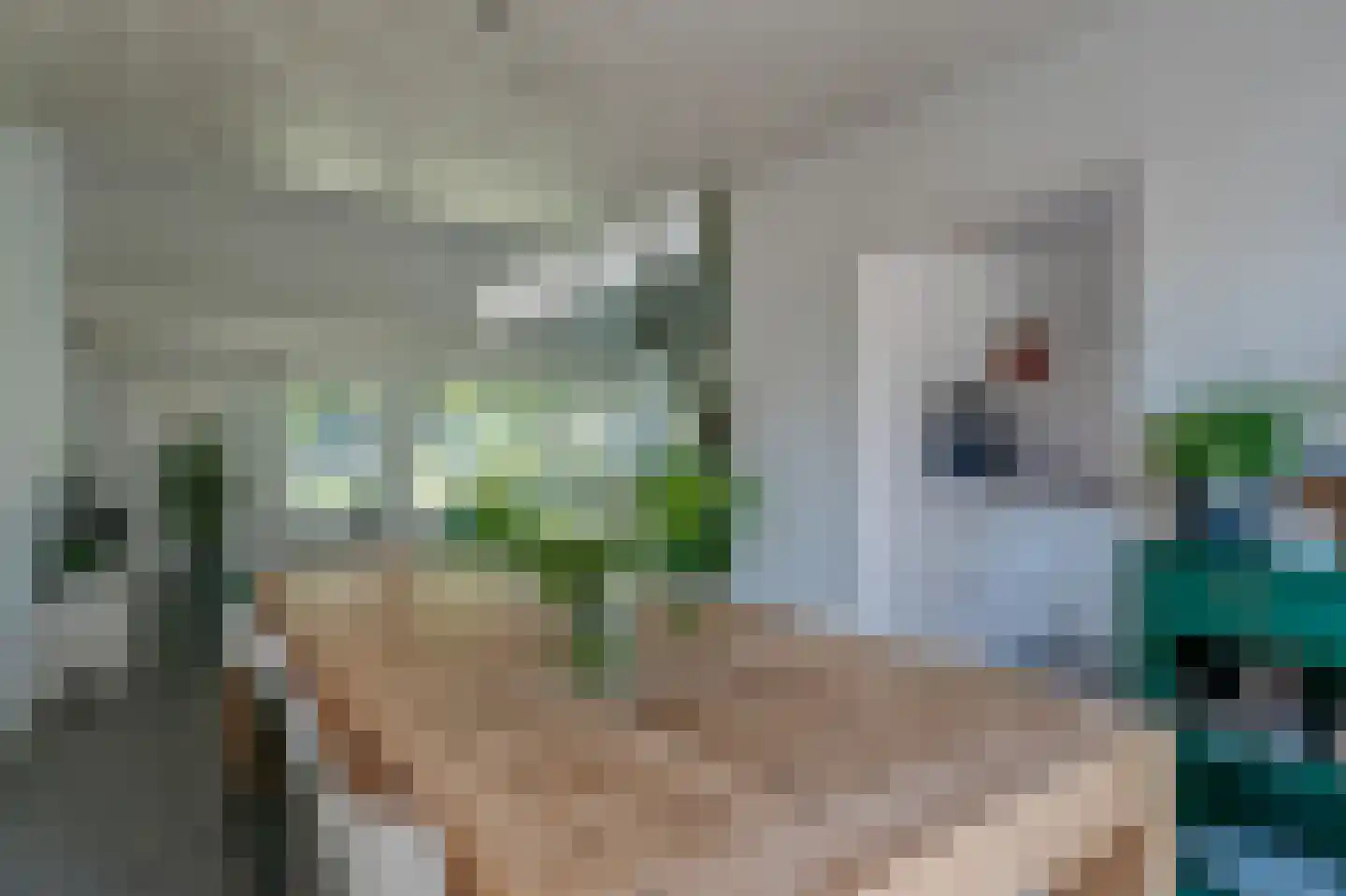 Zadelmakerij 2 Delfzijl thumbnail 28