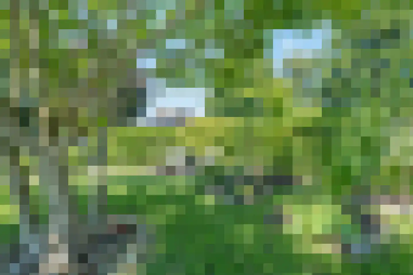 Zadelmakerij 2 Delfzijl thumbnail 57