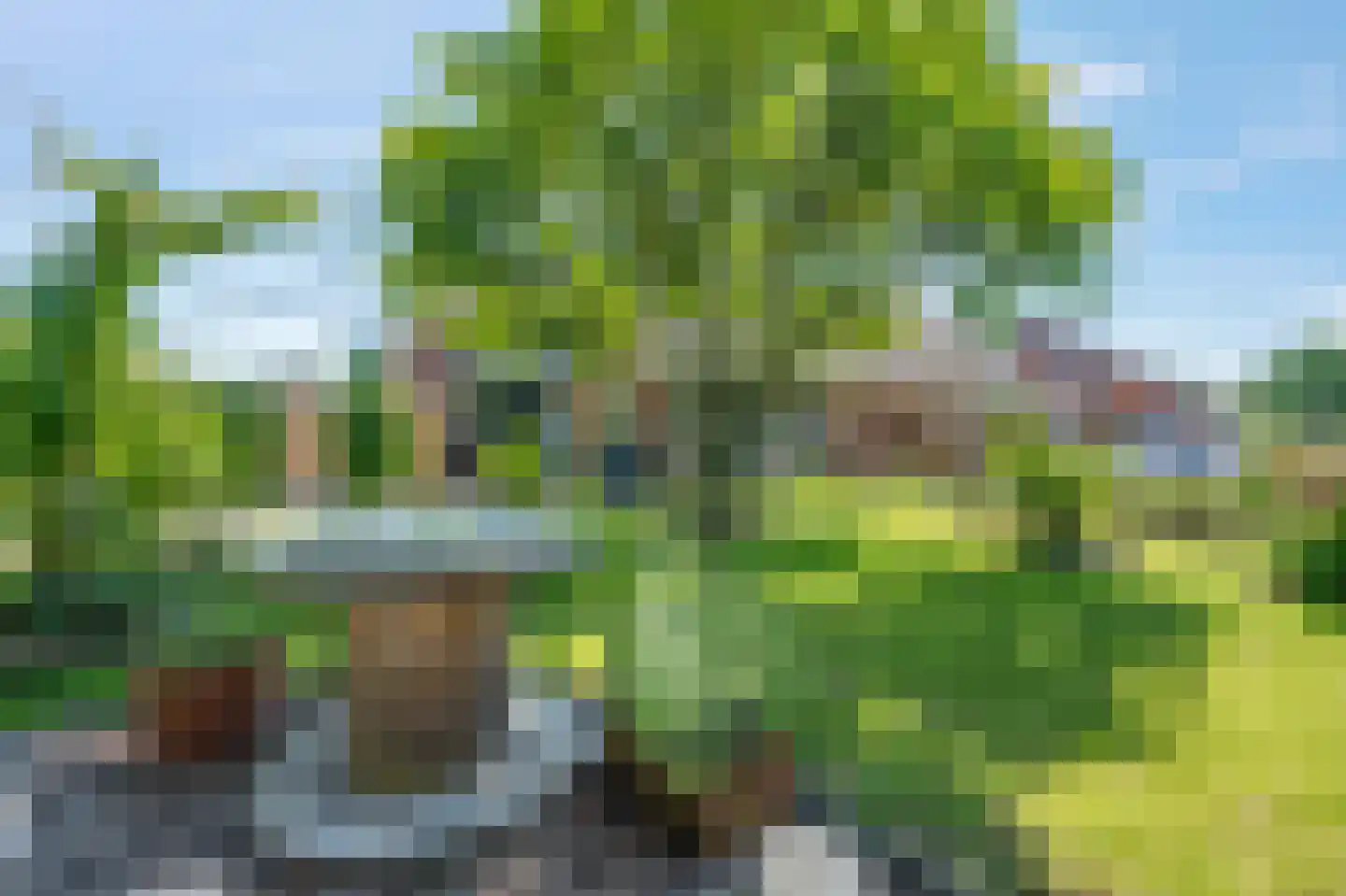 Zadelmakerij 2 Delfzijl thumbnail 58