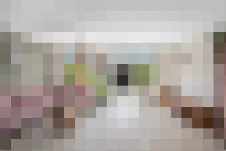 Zadelmakerij 8 Barendrecht thumbnail 11