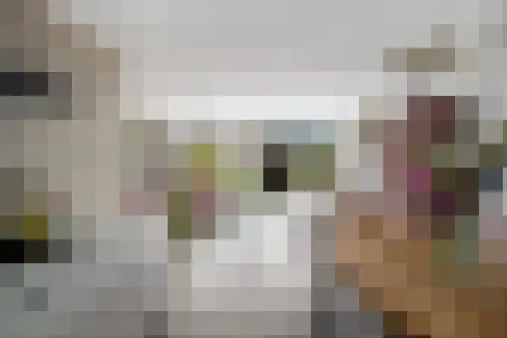Zadelmakerij 8 Barendrecht thumbnail 12