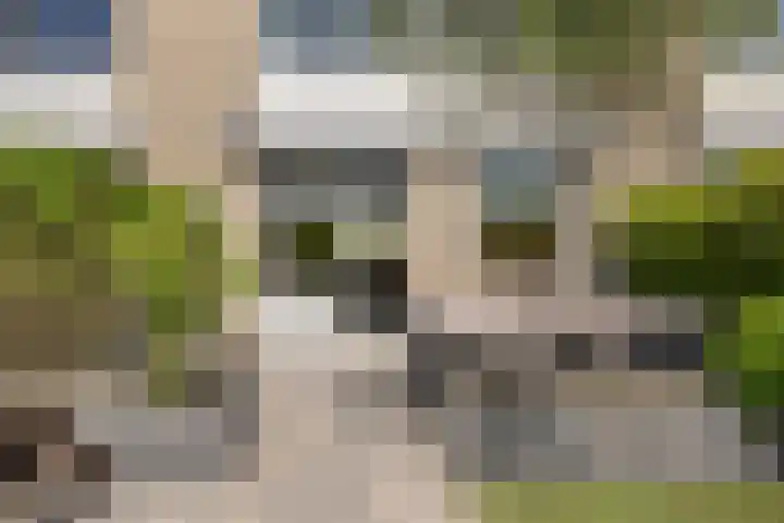 Zadelmakerij 8 Barendrecht thumbnail 18