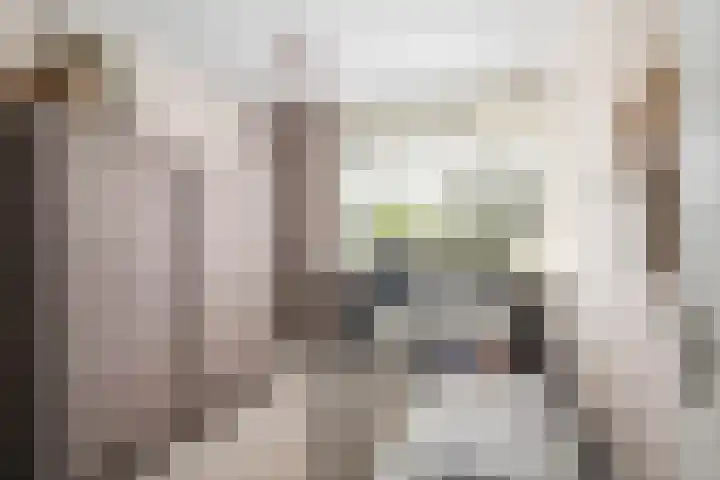 Zadelmakerij 8 Barendrecht thumbnail 21