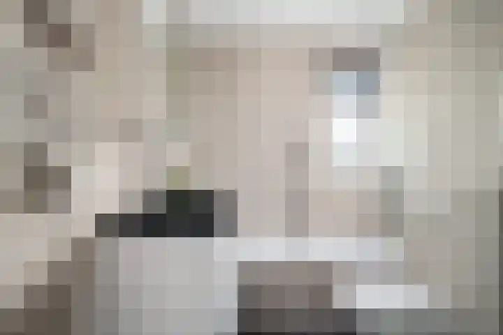 Zadelmakerij 8 Barendrecht thumbnail 24