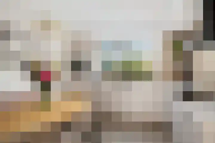 Zadelmakerij 8 Barendrecht thumbnail 4
