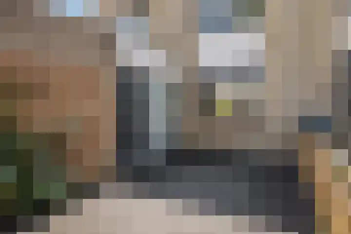 Zadelmakerij 8 Barendrecht thumbnail 6