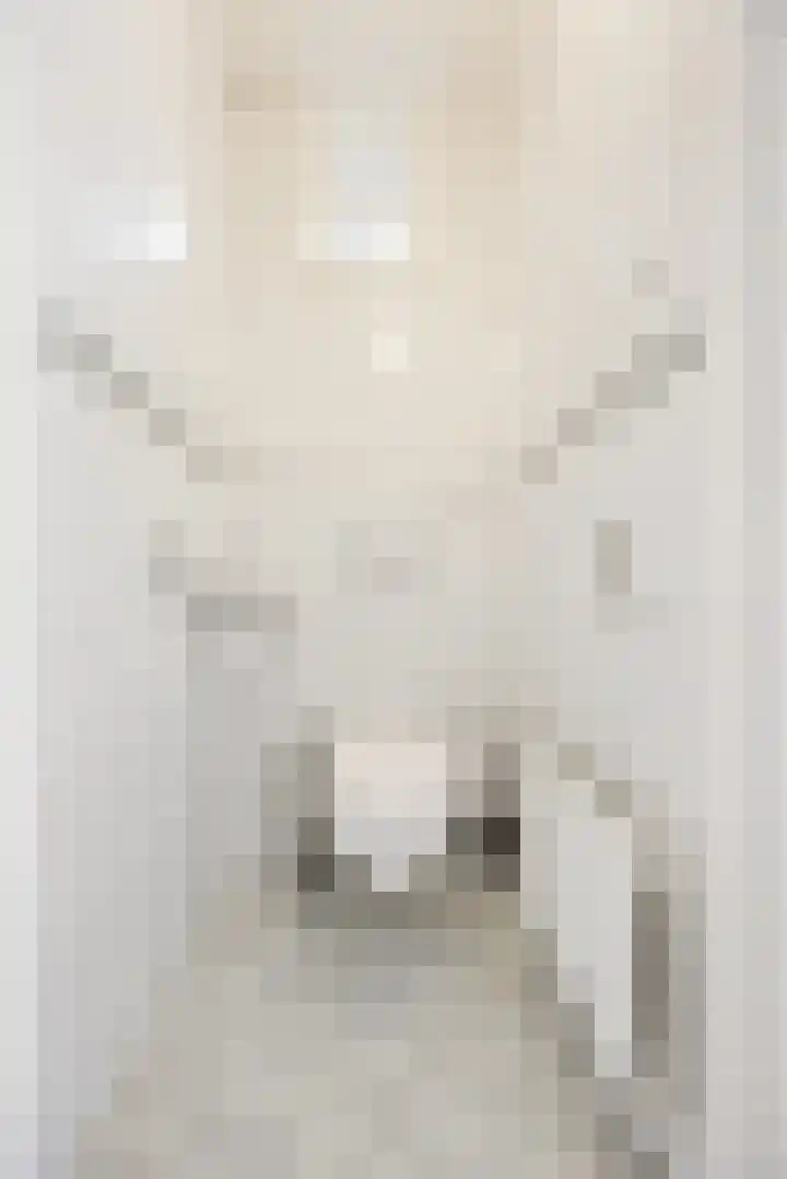 Zadelmakersdreef 12 Cuijk thumbnail 11