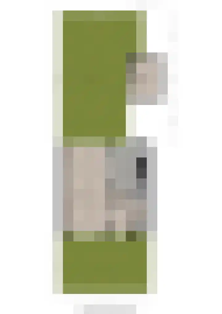 Zadelmakersdreef 12 Cuijk thumbnail 18
