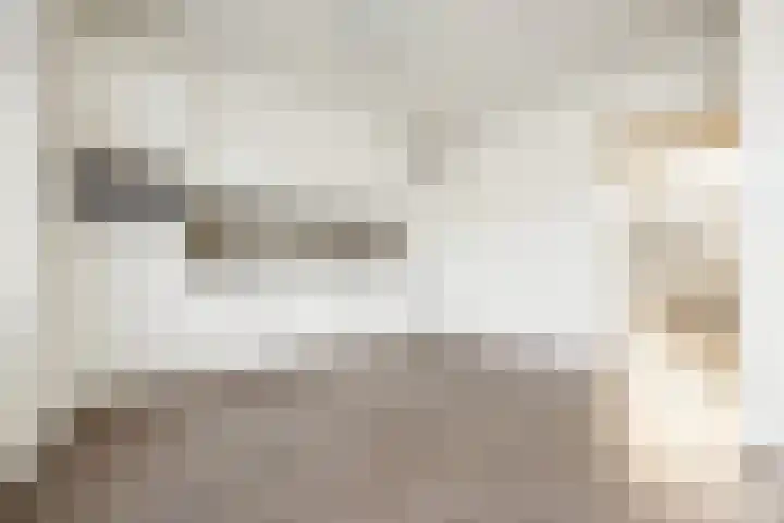 Zadelmakersdreef 12 Cuijk thumbnail 6