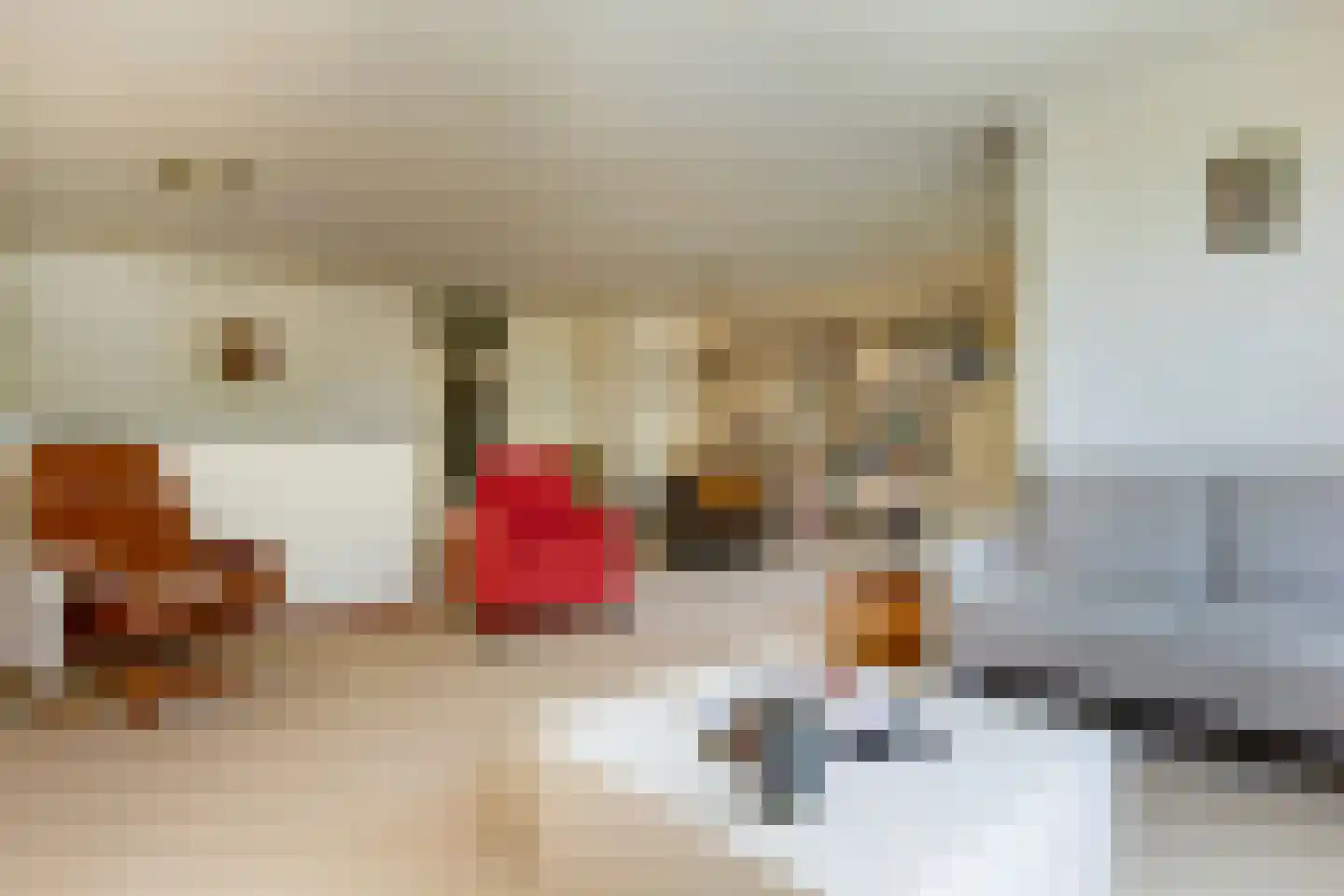 Zadelmakerslaan 102 Haarlem thumbnail 18