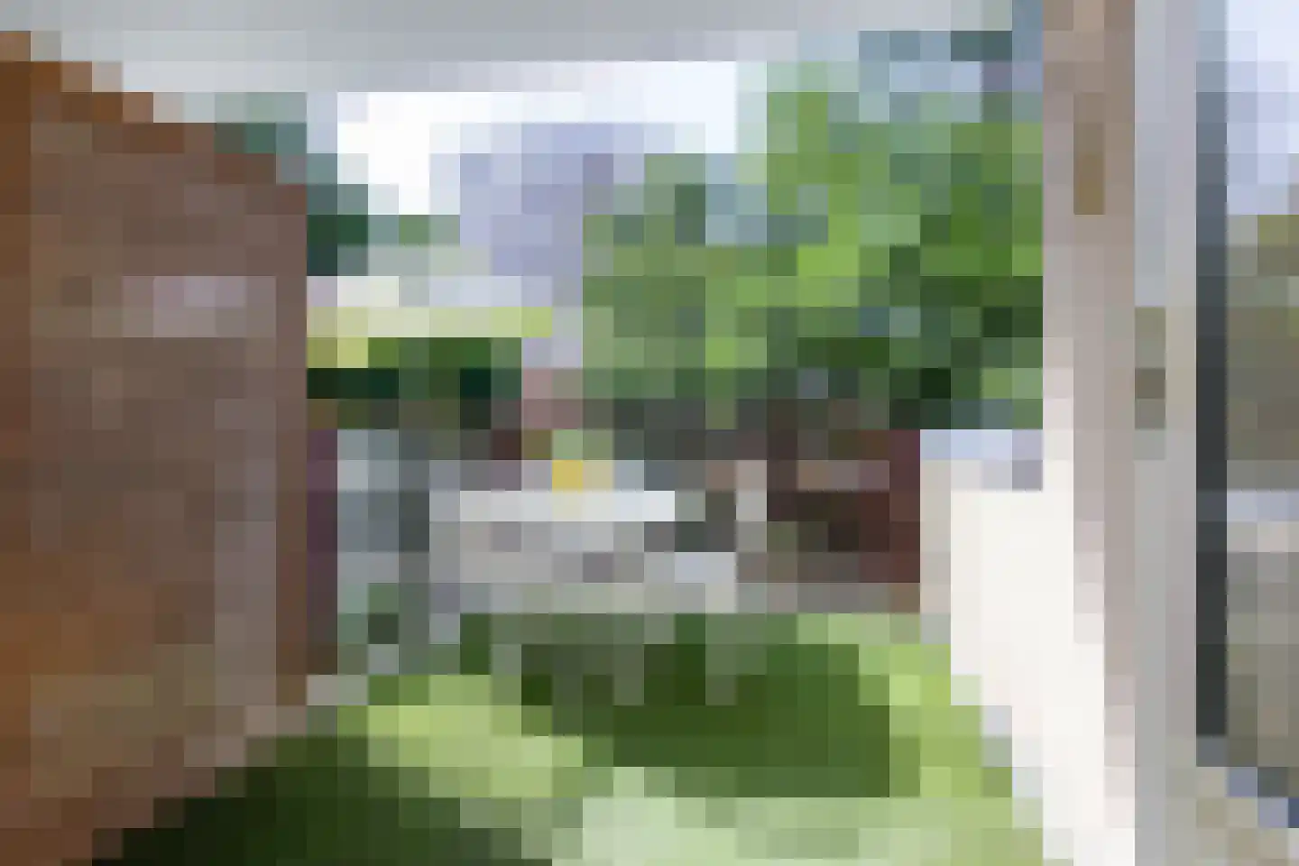 Zadelmakerslaan 102 Haarlem thumbnail 23