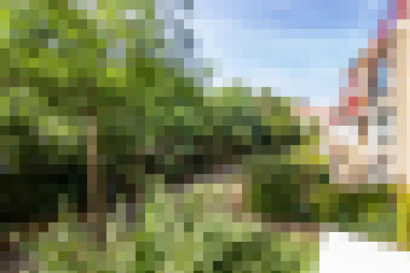 Zadelmakerslaan 102 Haarlem thumbnail 25