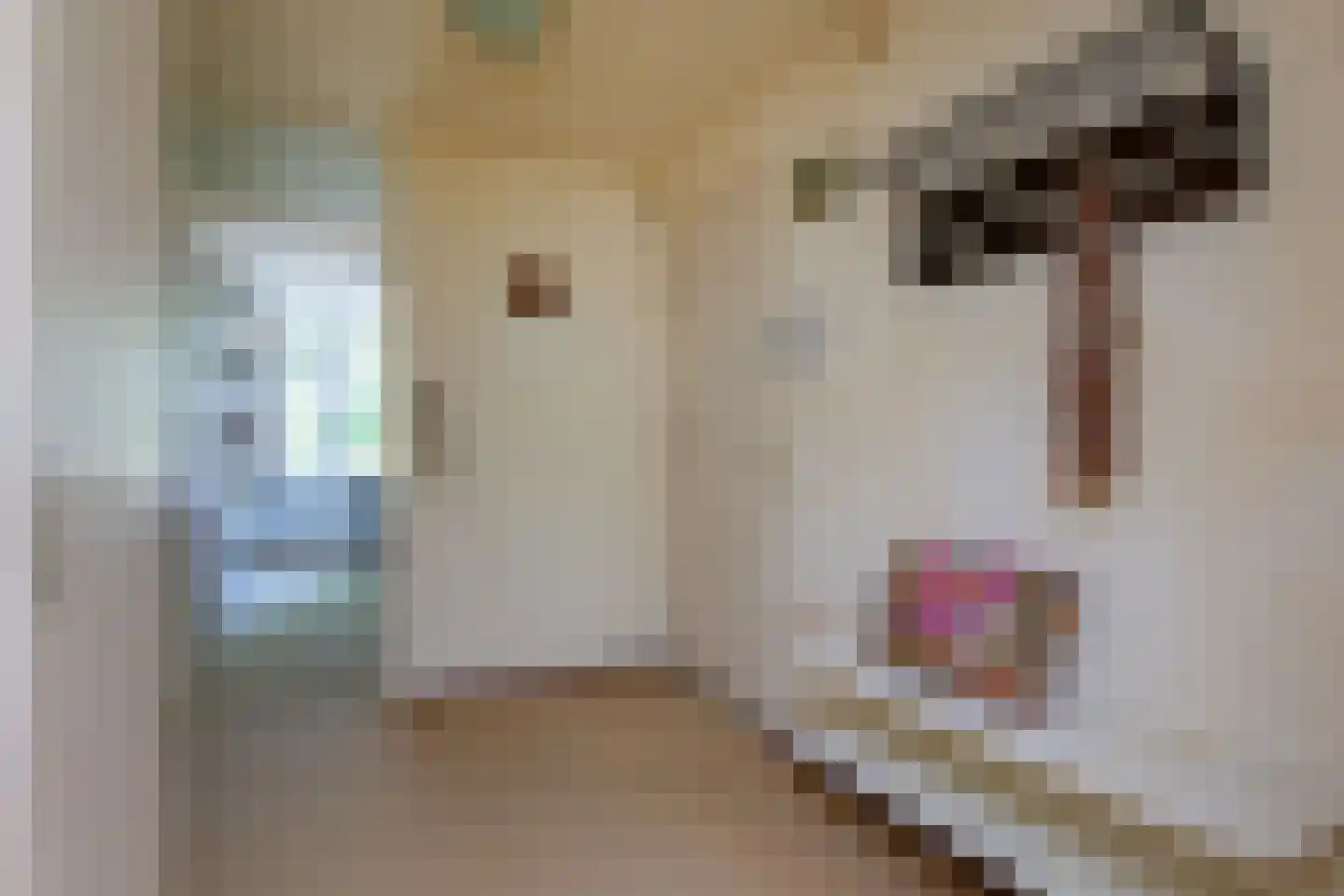 Zadelmakerslaan 102 Haarlem thumbnail 27
