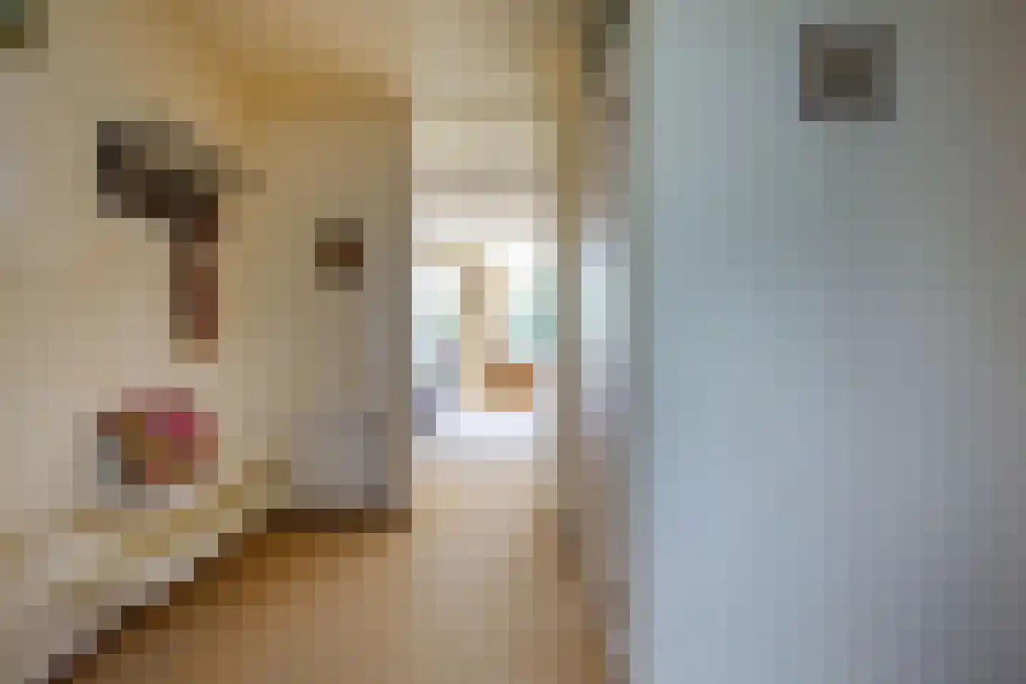 Zadelmakerslaan 102 Haarlem thumbnail 6