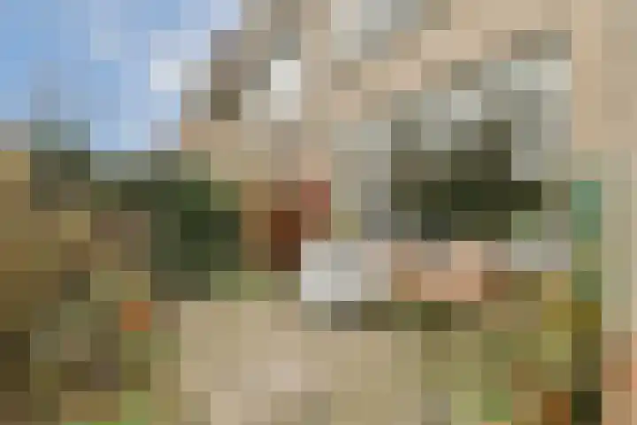 Zadelmakerslaan 130 Haarlem foto 3