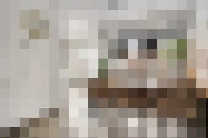 Zadelmakerslaan 16 Heythuysen thumbnail 11