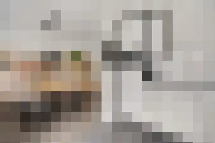 Zadelmakerslaan 16 Heythuysen thumbnail 13