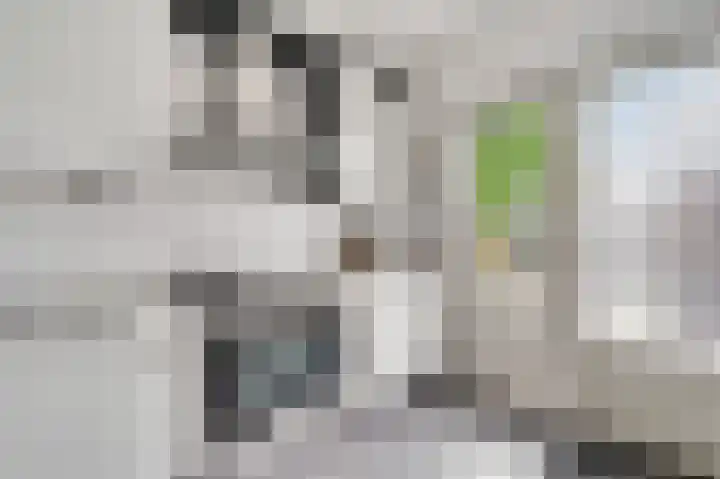 Zadelmakerslaan 16 Heythuysen thumbnail 14