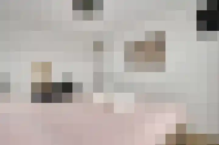 Zadelmakerslaan 16 Heythuysen thumbnail 21