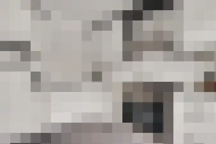 Zadelmakerslaan 16 Heythuysen thumbnail 4