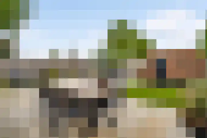 Zadelmakerslaan 16 Heythuysen thumbnail 6