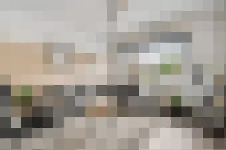 Zadelmakerslaan 16 Heythuysen thumbnail 8