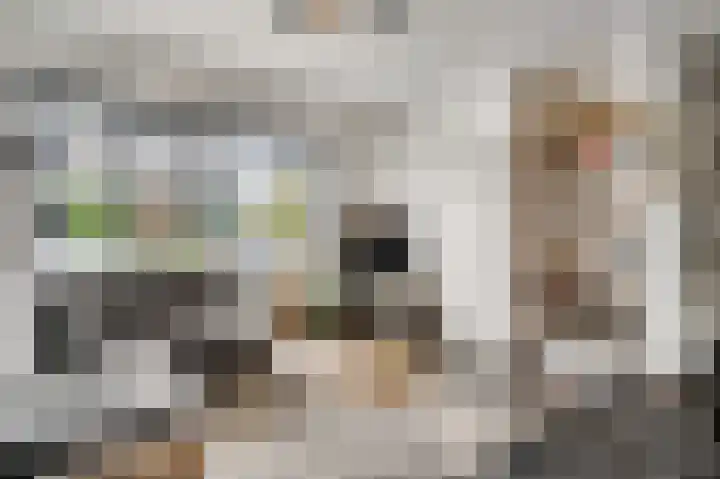 Zadelmakerslaan 16 Heythuysen thumbnail 9