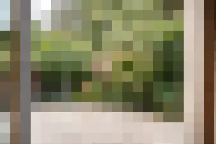 Zadelmakerslaan 36 Haarlem thumbnail 11