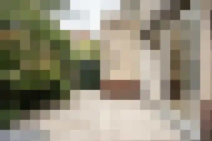Zadelmakerslaan 36 Haarlem thumbnail 12