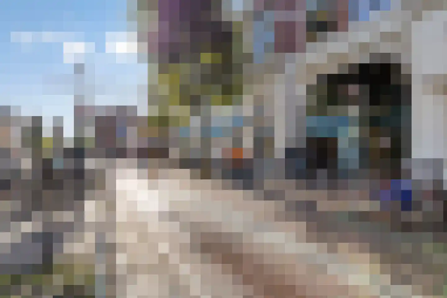 Zadelmakerslaan 38 Haarlem thumbnail 31