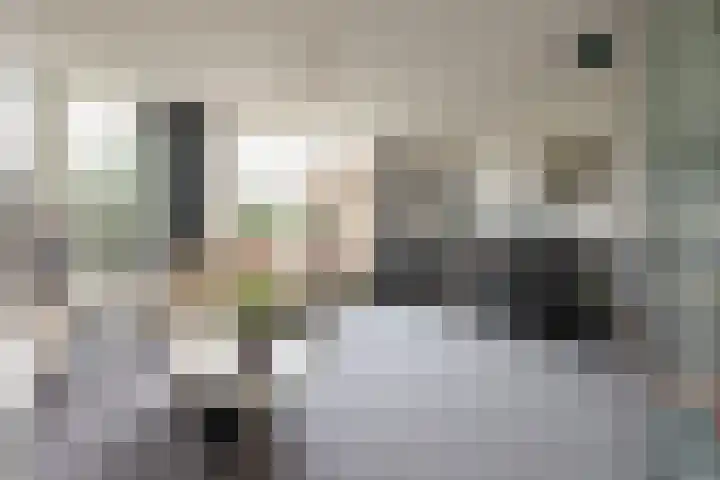 Zadelmakerslaan 7 Voorthuizen thumbnail 11