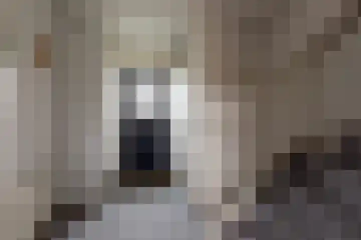 Zadelmakerslaan 7 Voorthuizen thumbnail 18