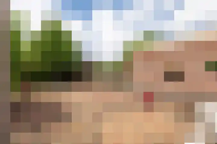 Zadelmakerslaan 7 Voorthuizen thumbnail 36