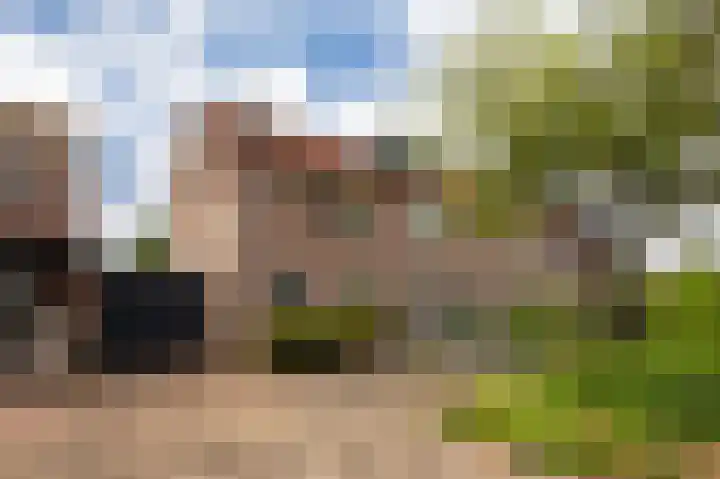 Zadelmakerslaan 7 Voorthuizen thumbnail 43