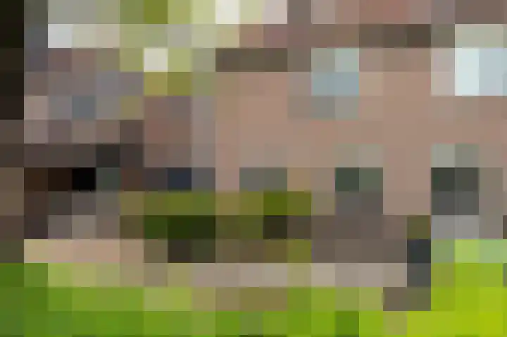 Zadelmakerslaan 7 Voorthuizen thumbnail 6