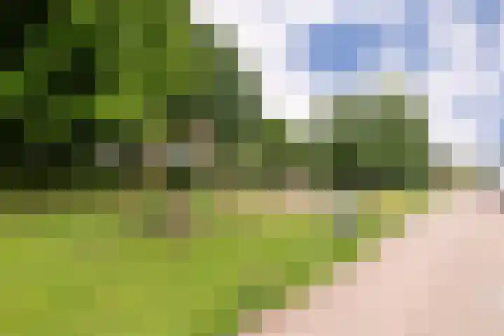 Zadelmakerslaan 7 Voorthuizen thumbnail 8