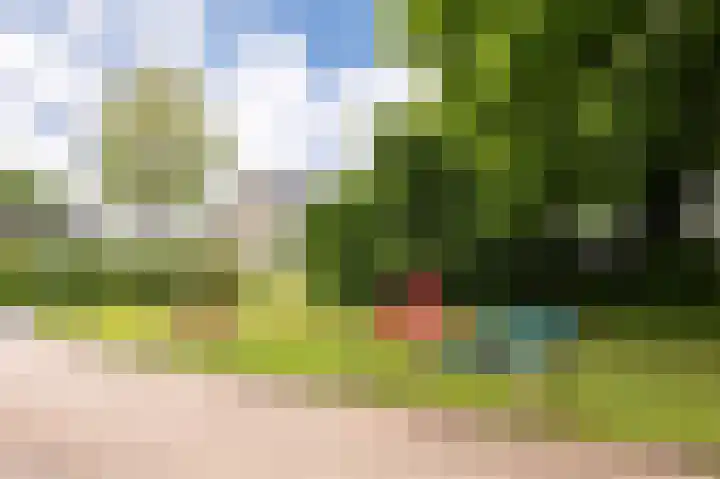 Zadelmakerslaan 7 Voorthuizen thumbnail 9