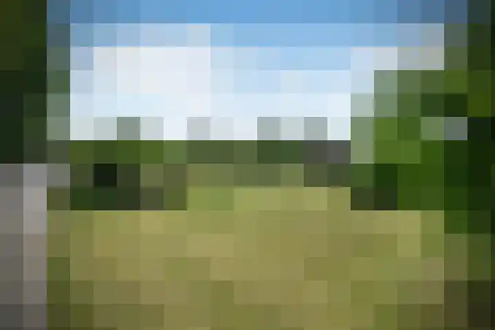 Zadelmakersstraat 23 Elst thumbnail 13