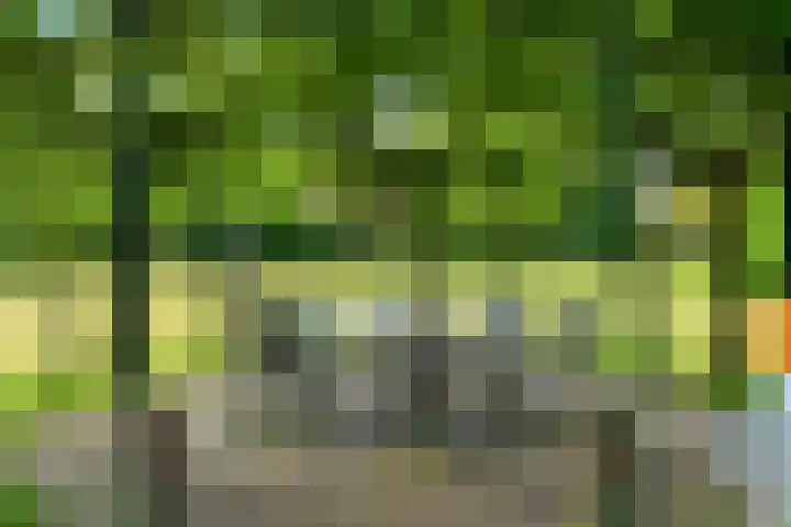Zadelmakersstraat 23 Elst thumbnail 14