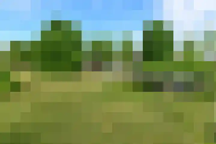 Zadelmakersstraat 23 Elst thumbnail 15