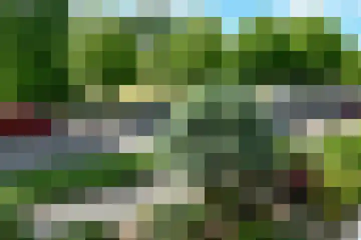 Zadelmakersstraat 23 Elst thumbnail 17